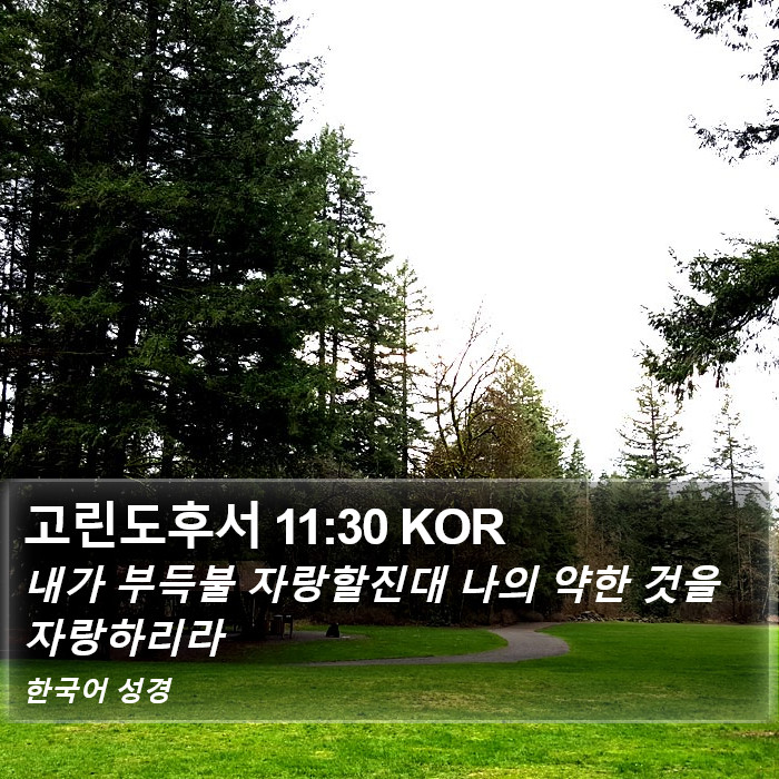 고린도후서 11:30 KOR Bible Study