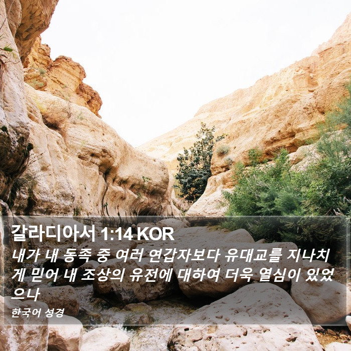 갈라디아서 1:14 KOR Bible Study