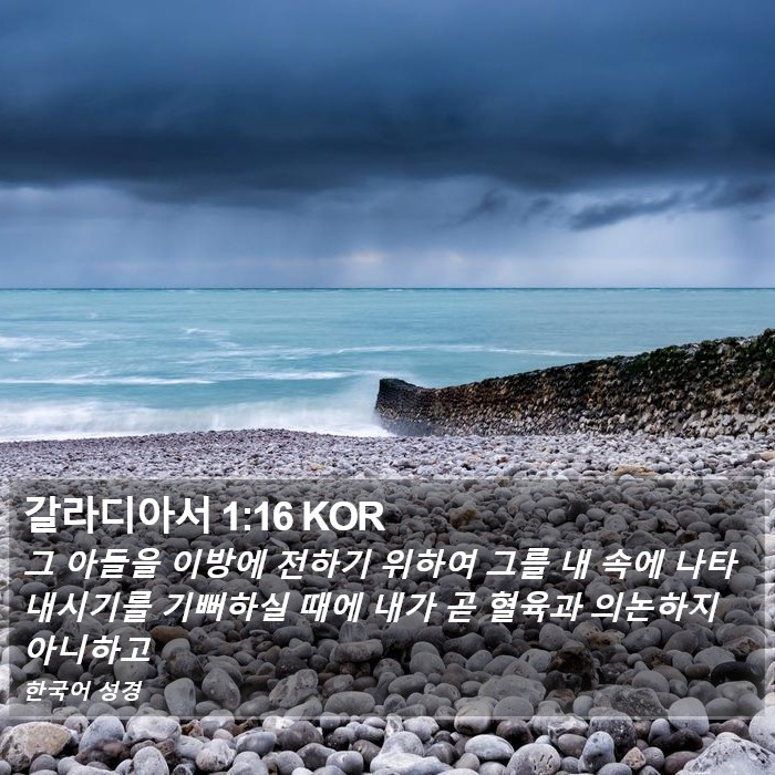 갈라디아서 1:16 KOR Bible Study