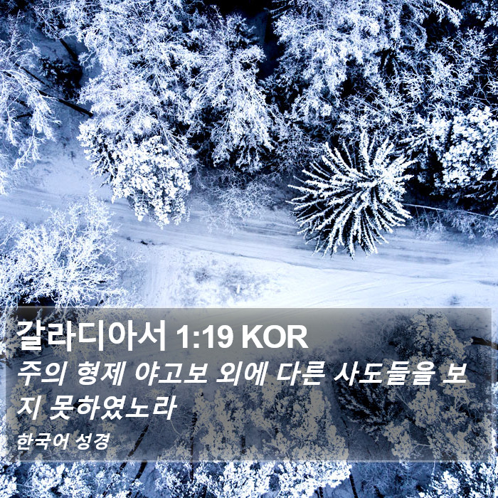 갈라디아서 1:19 KOR Bible Study