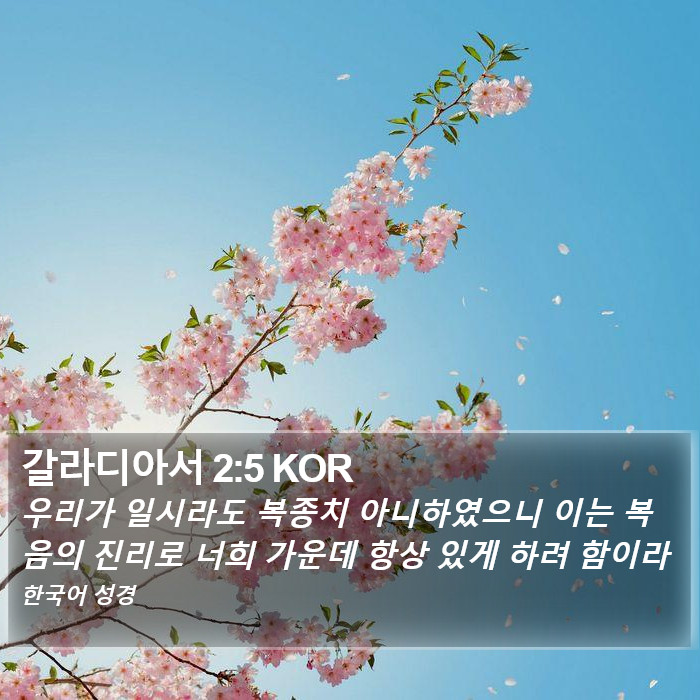 갈라디아서 2:5 KOR Bible Study