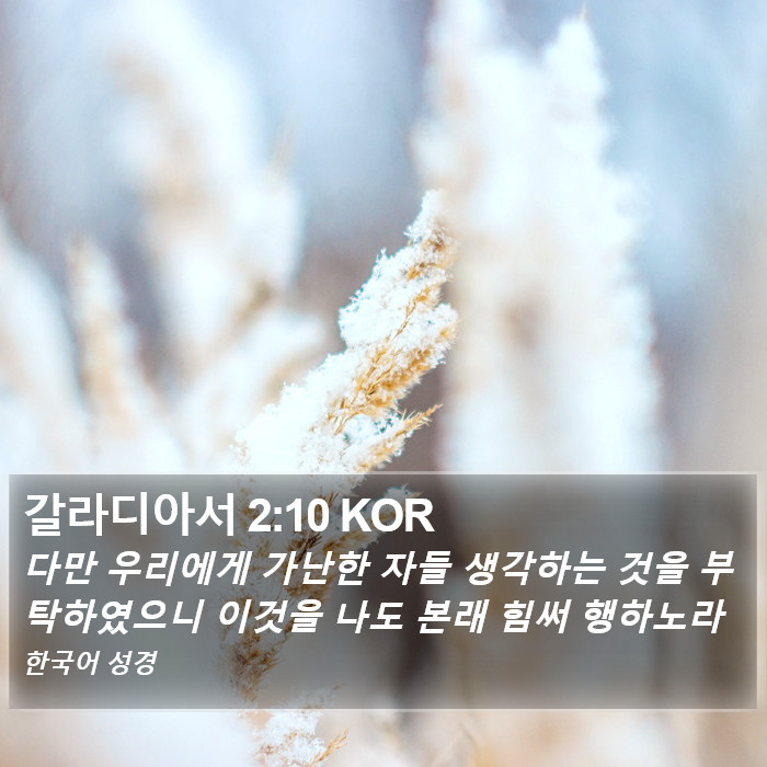 갈라디아서 2:10 KOR Bible Study
