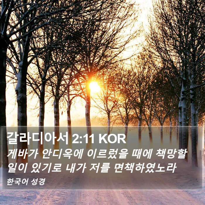 갈라디아서 2:11 KOR Bible Study