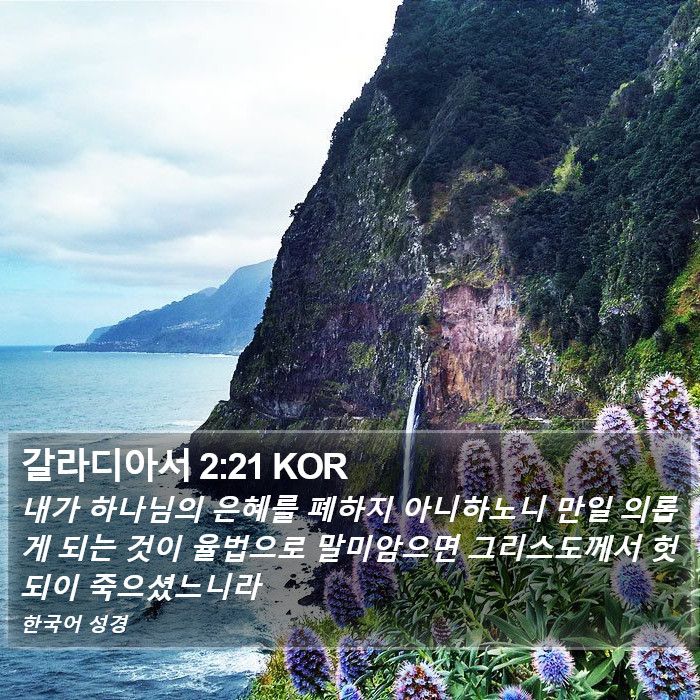 갈라디아서 2:21 KOR Bible Study