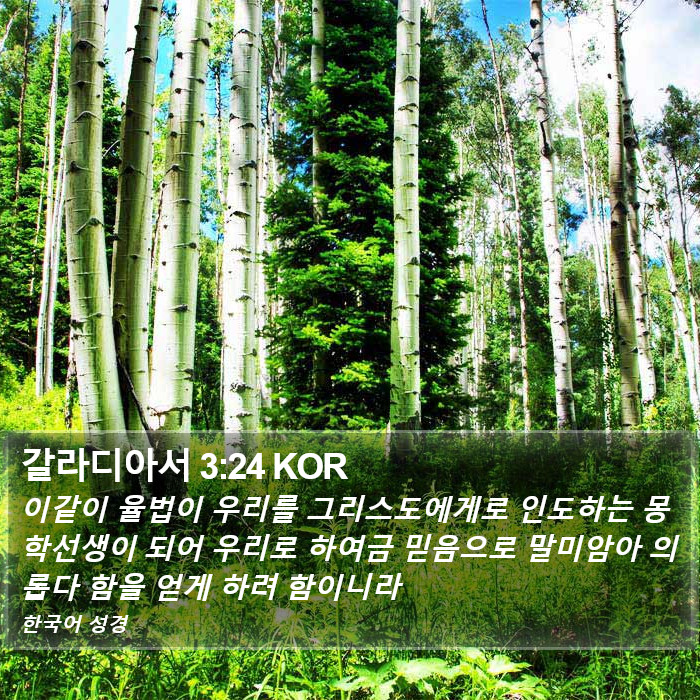 갈라디아서 3:24 KOR Bible Study