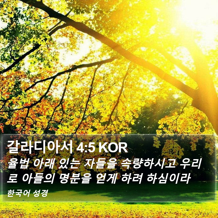 갈라디아서 4:5 KOR Bible Study