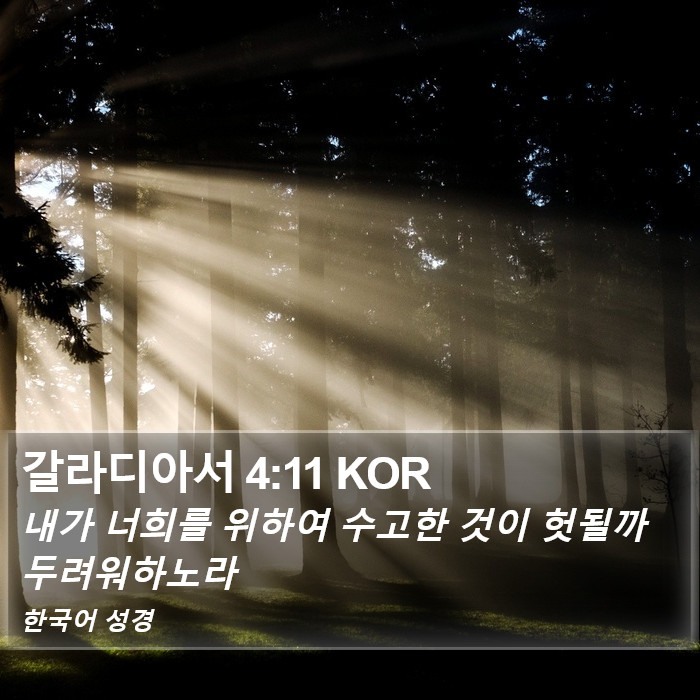 갈라디아서 4:11 KOR Bible Study