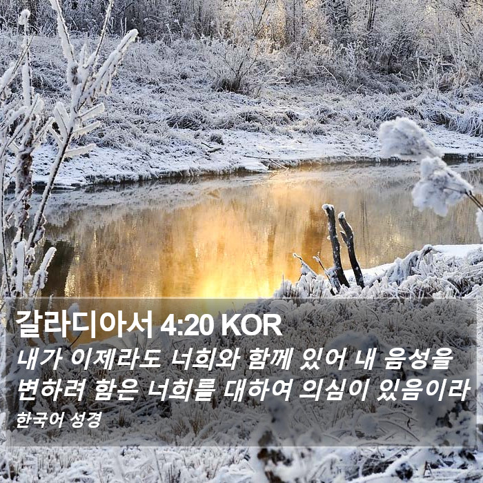 갈라디아서 4:20 KOR Bible Study