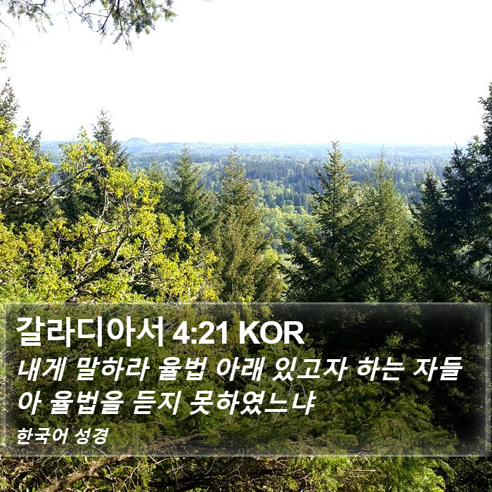 갈라디아서 4:21 KOR Bible Study