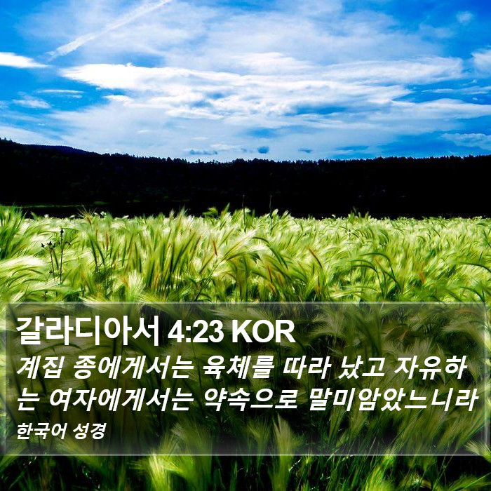 갈라디아서 4:23 KOR Bible Study