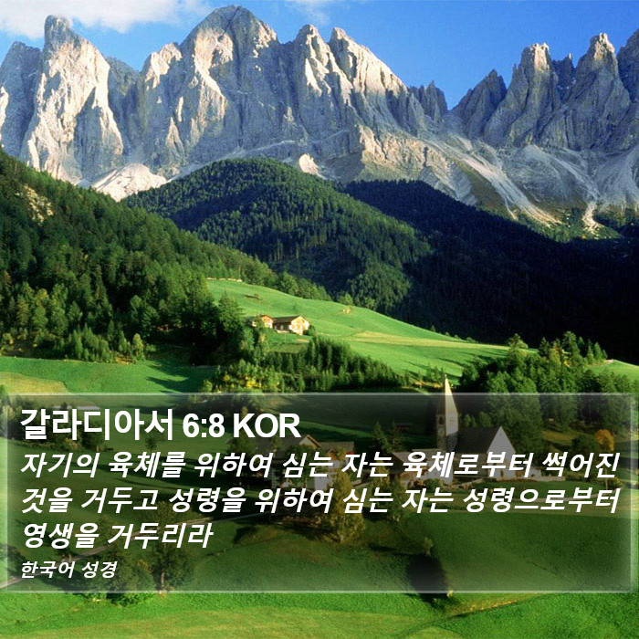 갈라디아서 6:8 KOR Bible Study