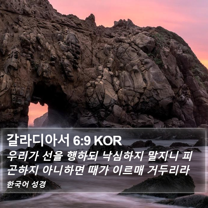 갈라디아서 6:9 KOR Bible Study