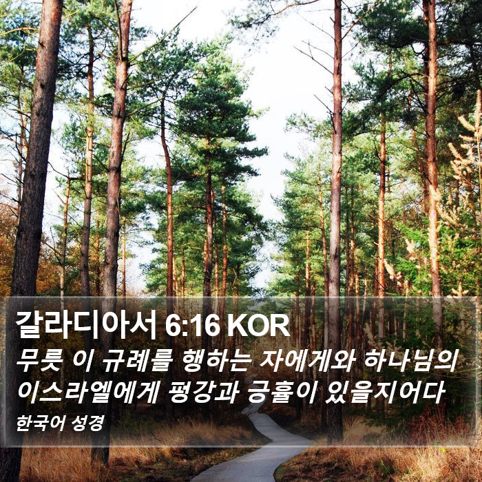 갈라디아서 6:16 KOR Bible Study