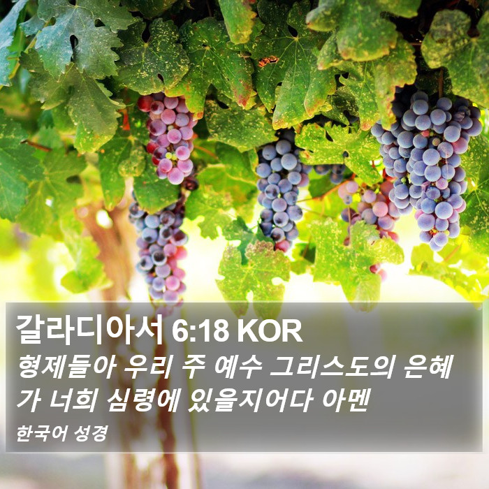 갈라디아서 6:18 KOR Bible Study