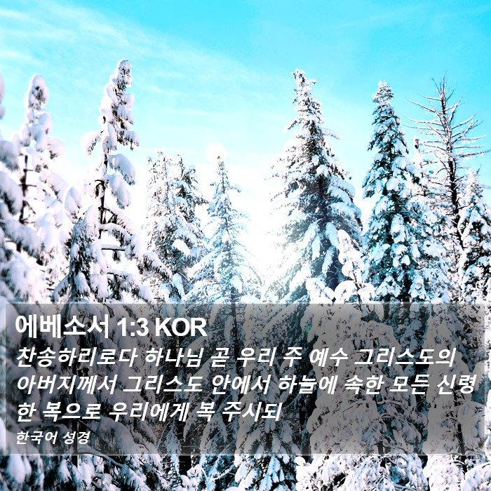 에베소서 1:3 KOR Bible Study