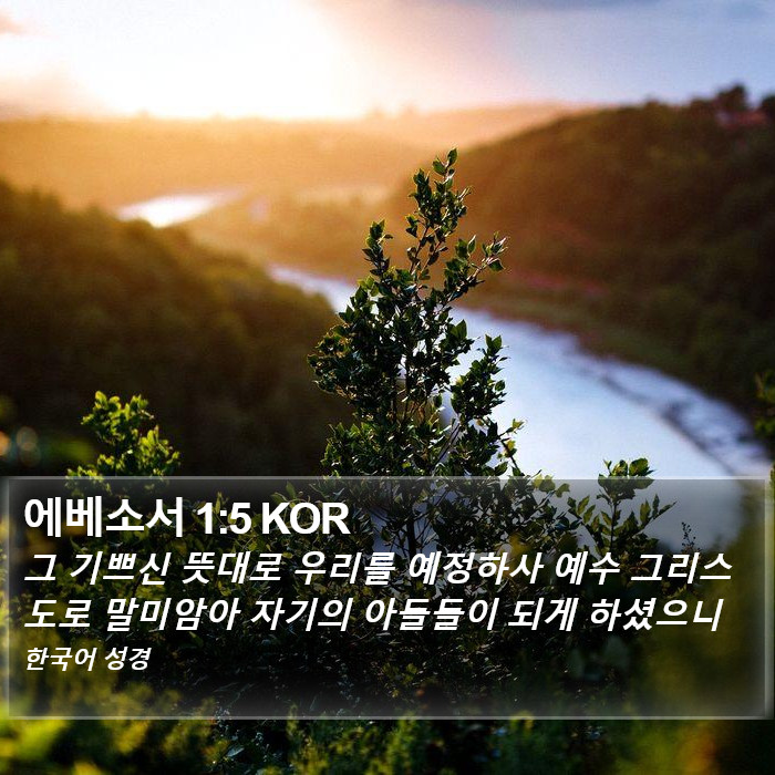 에베소서 1:5 KOR Bible Study