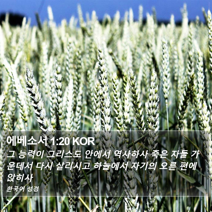 에베소서 1:20 KOR Bible Study