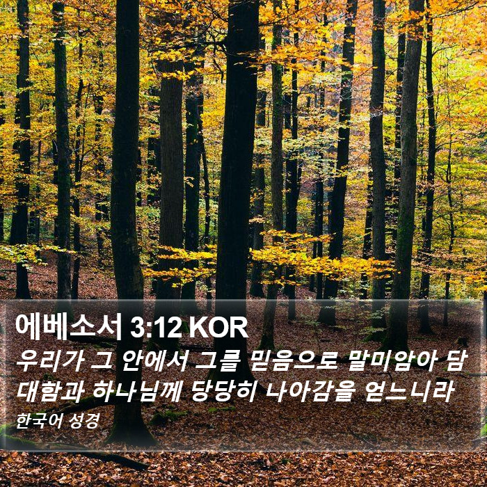 에베소서 3:12 KOR Bible Study