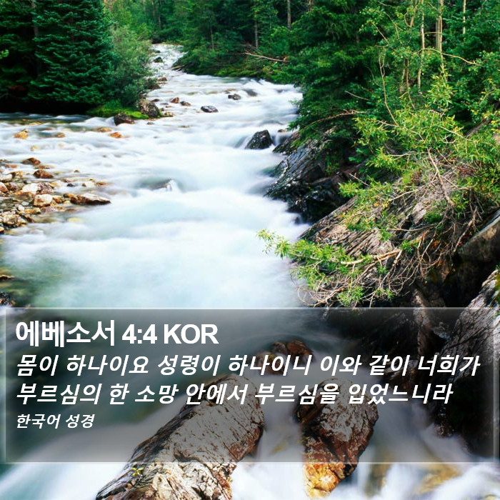 에베소서 4:4 KOR Bible Study