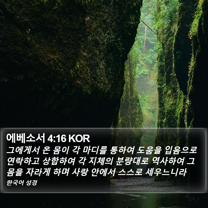 에베소서 4:16 KOR Bible Study