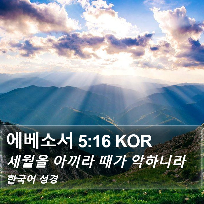 에베소서 5:16 KOR Bible Study