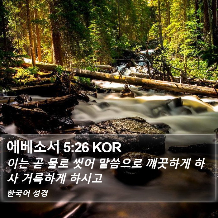 에베소서 5:26 KOR Bible Study