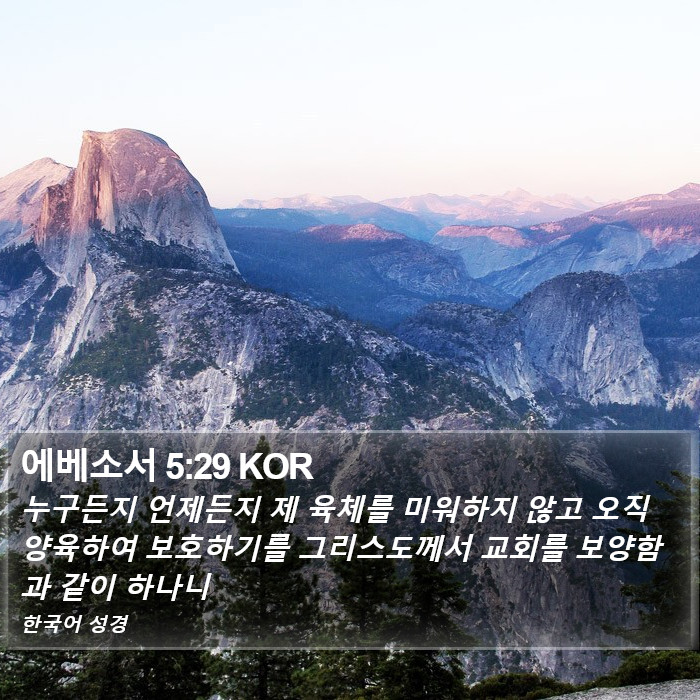 에베소서 5:29 KOR Bible Study