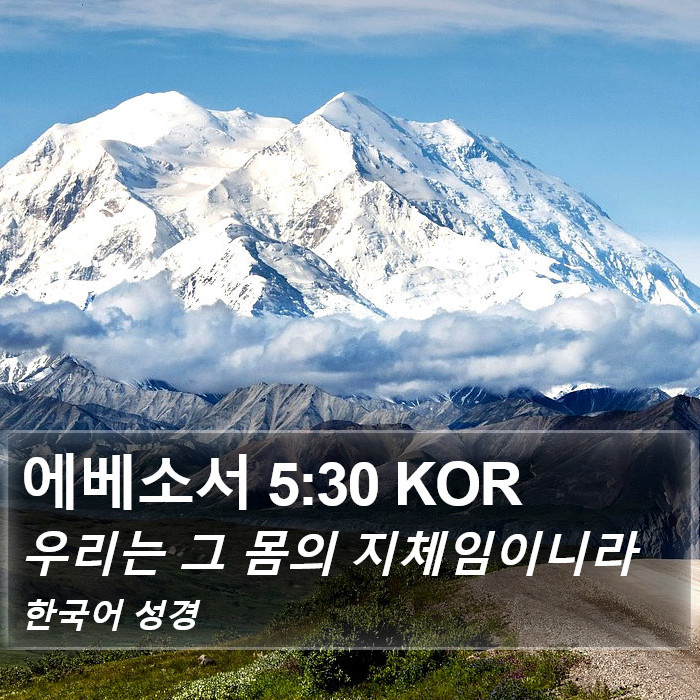 에베소서 5:30 KOR Bible Study