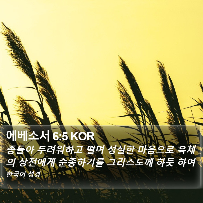 에베소서 6:5 KOR Bible Study