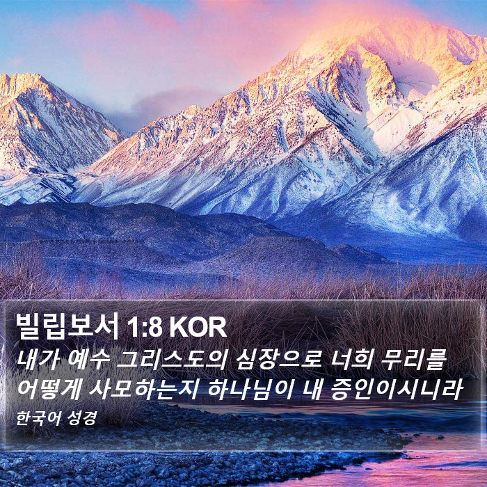 빌립보서 1:8 KOR Bible Study