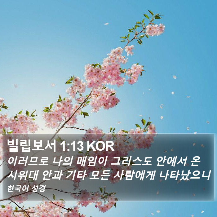 빌립보서 1:13 KOR Bible Study