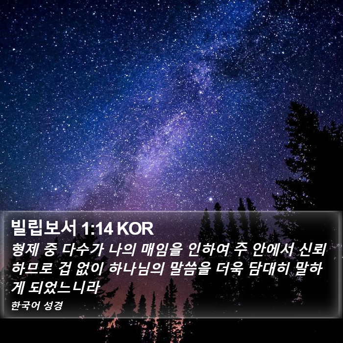 빌립보서 1:14 KOR Bible Study