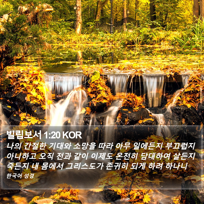 빌립보서 1:20 KOR Bible Study