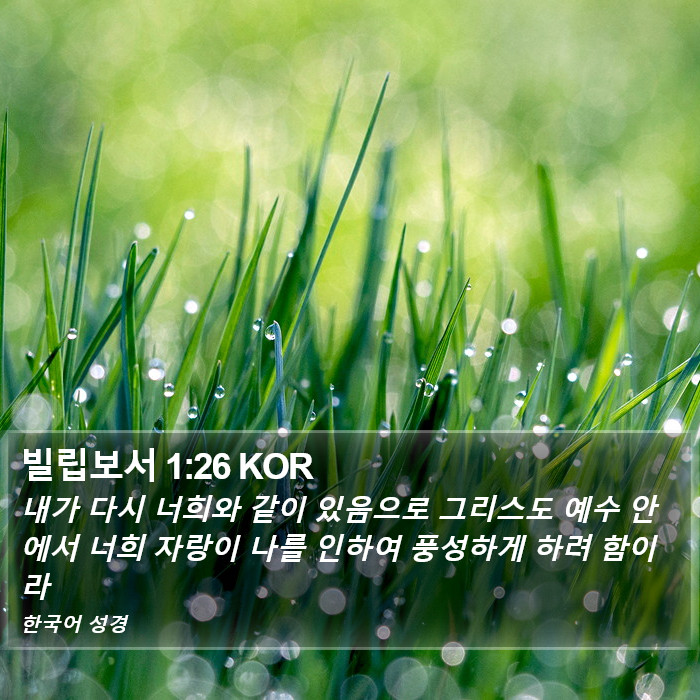 빌립보서 1:26 KOR Bible Study