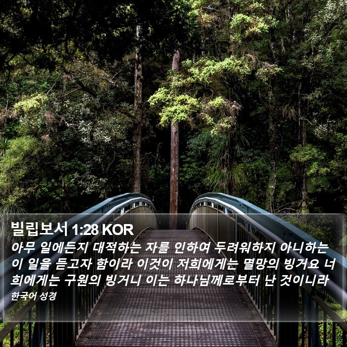 빌립보서 1:28 KOR Bible Study