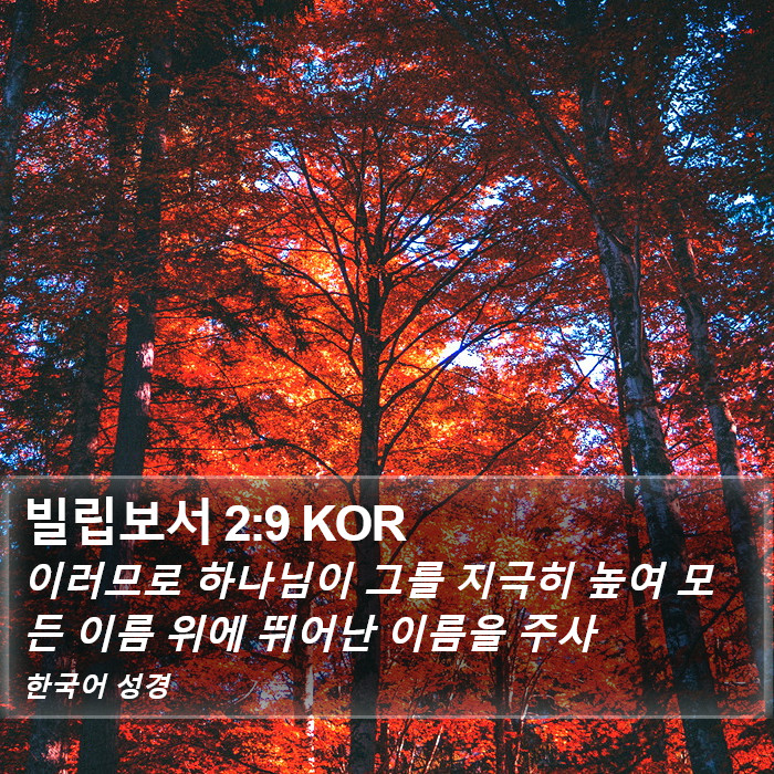 빌립보서 2:9 KOR Bible Study