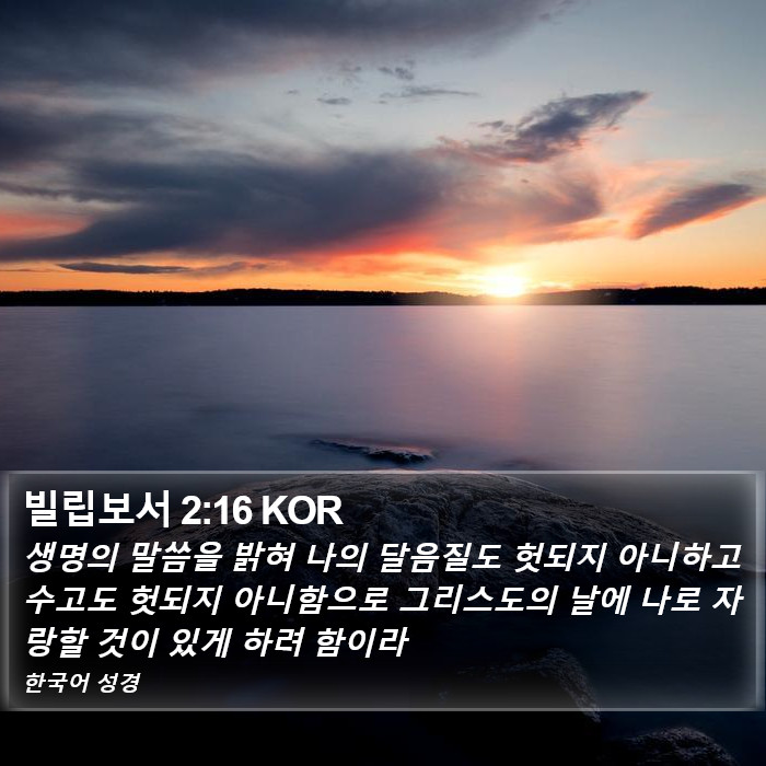 빌립보서 2:16 KOR Bible Study