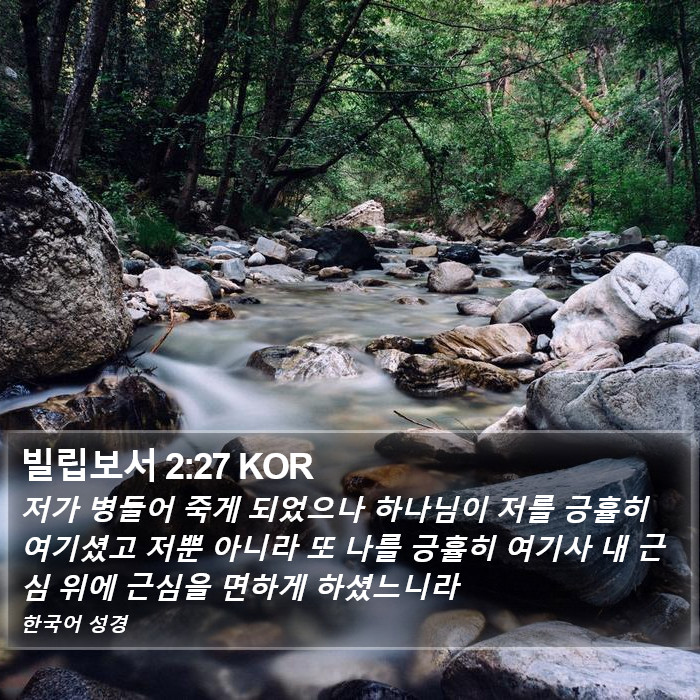 빌립보서 2:27 KOR Bible Study