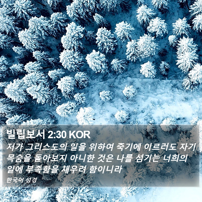 빌립보서 2:30 KOR Bible Study