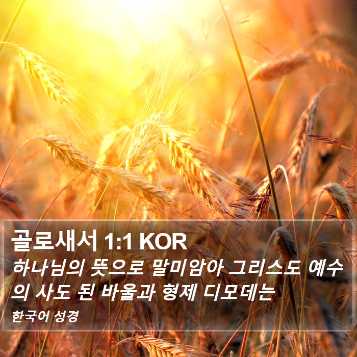 골로새서 1:1 KOR Bible Study