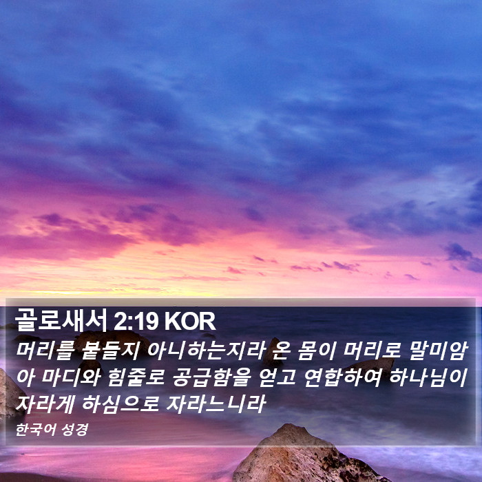 골로새서 2:19 KOR Bible Study