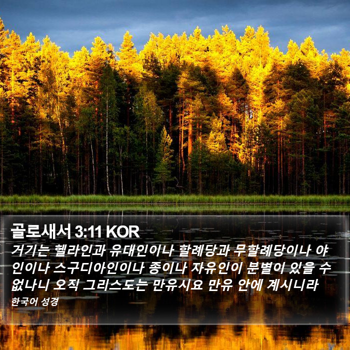 골로새서 3:11 KOR Bible Study