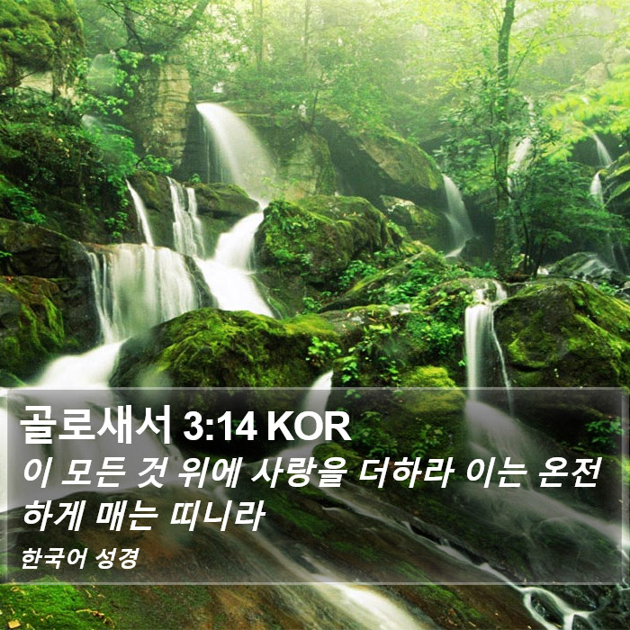 골로새서 3:14 KOR Bible Study