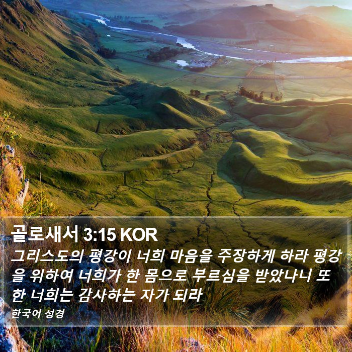 골로새서 3:15 KOR Bible Study