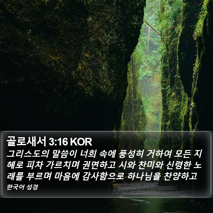 골로새서 3:16 KOR Bible Study