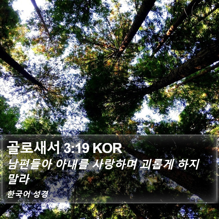 골로새서 3:19 KOR Bible Study