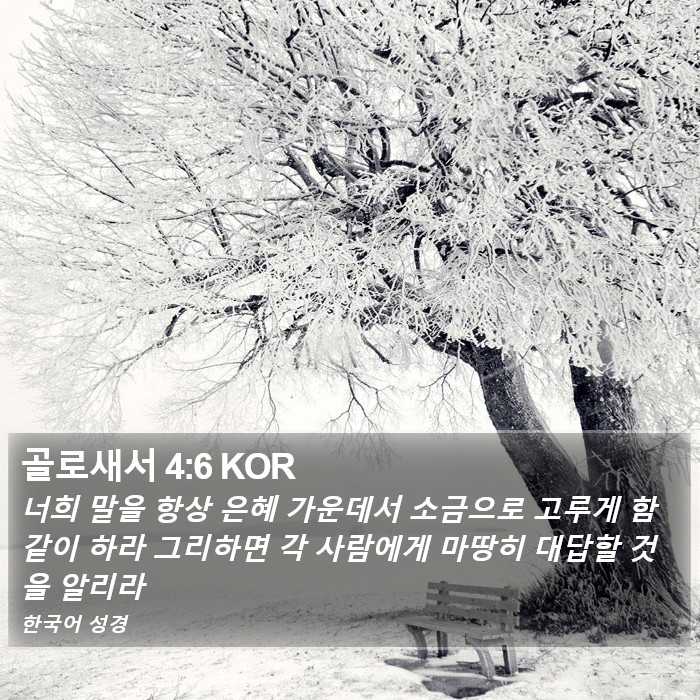 골로새서 4:6 KOR Bible Study