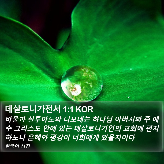 데살로니가전서 1:1 KOR Bible Study