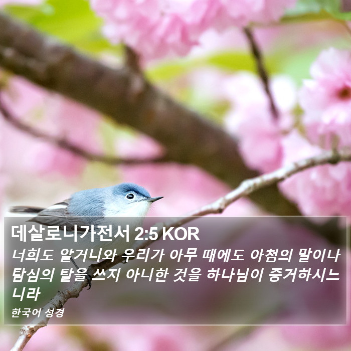 데살로니가전서 2:5 KOR Bible Study