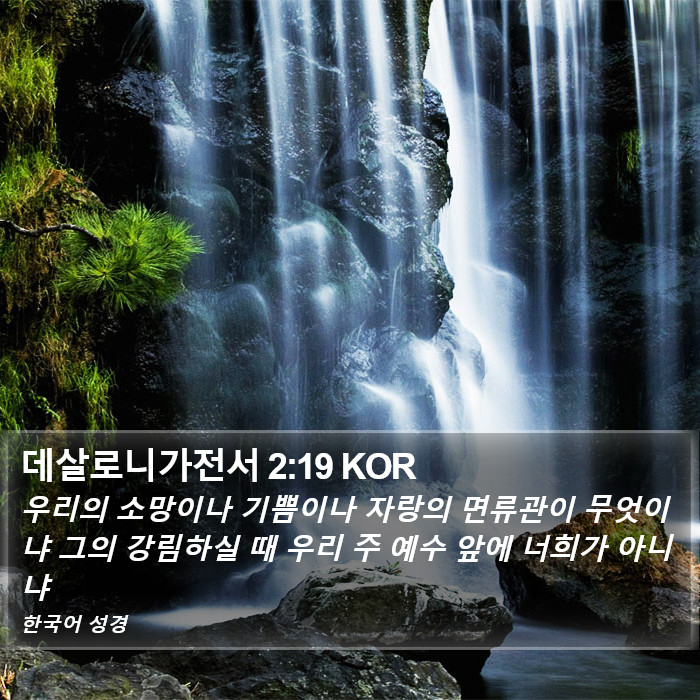 데살로니가전서 2:19 KOR Bible Study